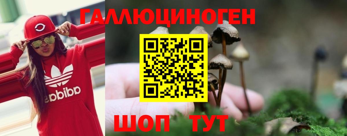 Галлюциногенные грибы GOLDEN TEACHER  Галлюциногенные грибы Cubensis  Вход с VPN  Белая Калитва 